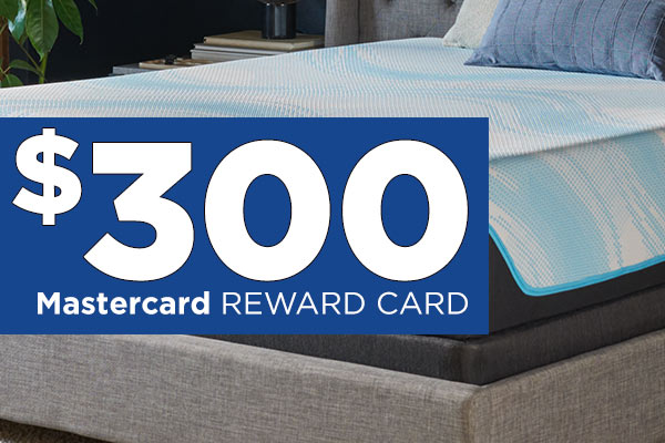 $300 mastercard reward card